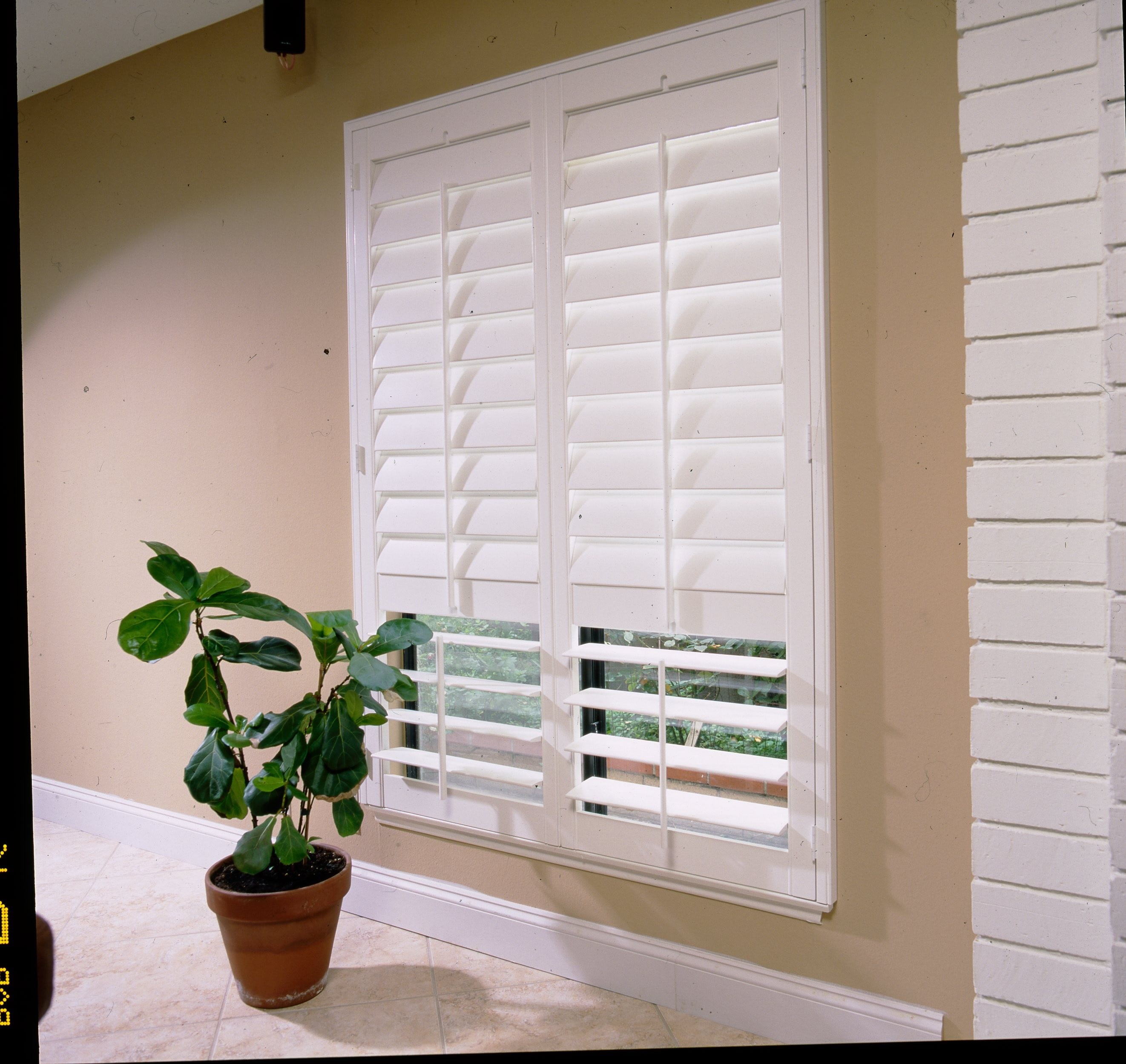 Window Blinds And A Plant Pot